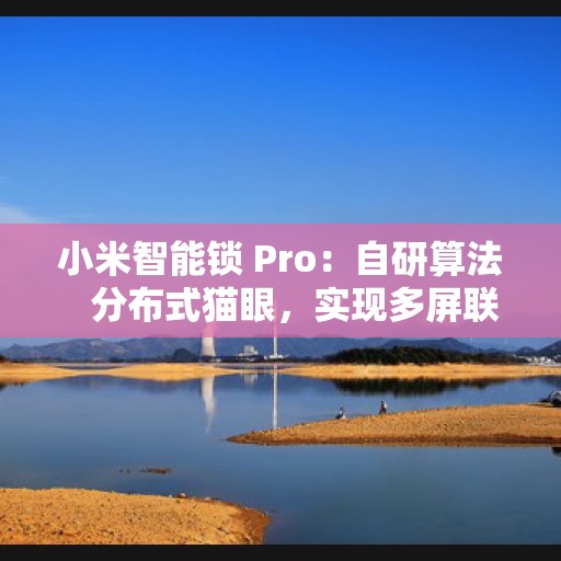 小米智能锁 Pro：自研算法   分布式猫眼，实现多屏联动