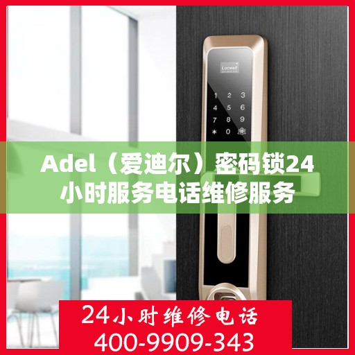 Adel（爱迪尔）密码锁24小时服务电话维修服务