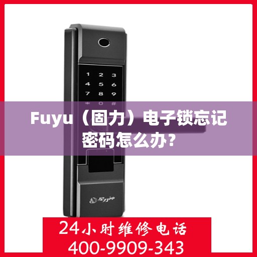 Fuyu（固力）电子锁忘记密码怎么办？