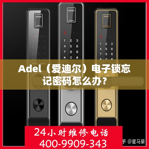 Adel（爱迪尔）电子锁忘记密码怎么办？