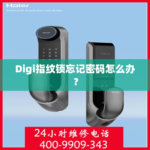 Digi指纹锁忘记密码怎么办？