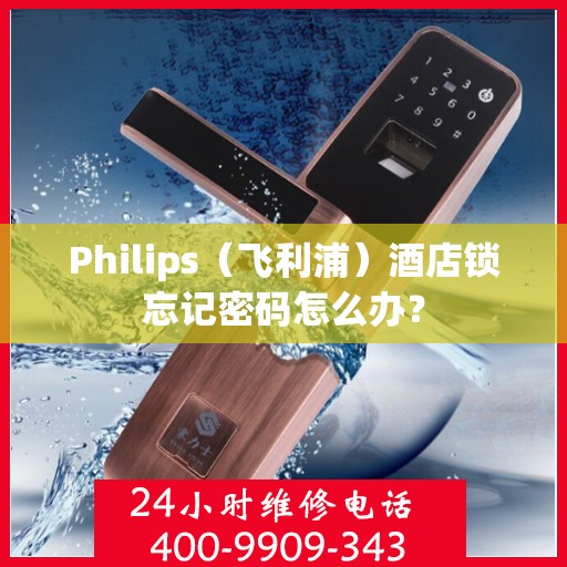 Philips（飞利浦）酒店锁忘记密码怎么办？