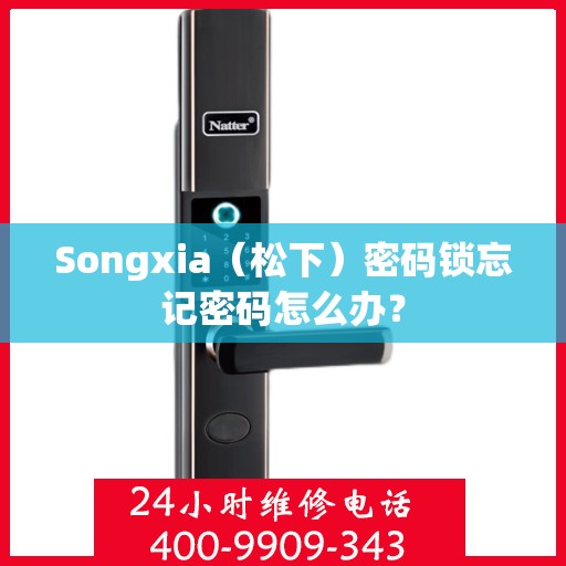 Songxia（松下）密码锁忘记密码怎么办？