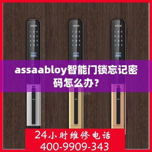 assaabloy智能门锁忘记密码怎么办？