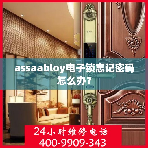 assaabloy电子锁忘记密码怎么办？