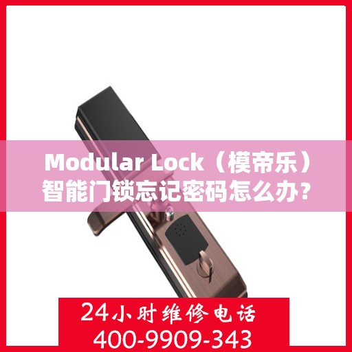 Modular Lock（模帝乐）智能门锁忘记密码怎么办？