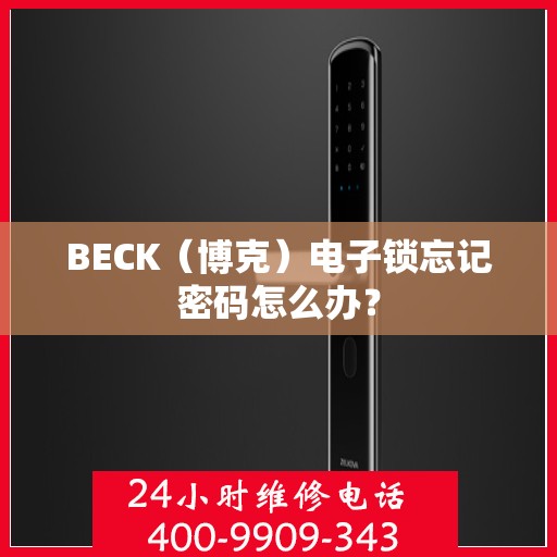 BECK（博克）电子锁忘记密码怎么办？