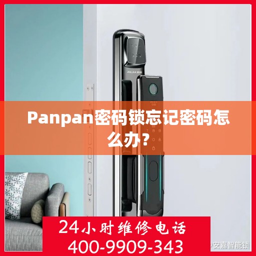 Panpan密码锁忘记密码怎么办？