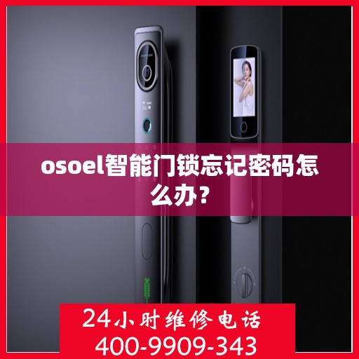 osoel智能门锁忘记密码怎么办？