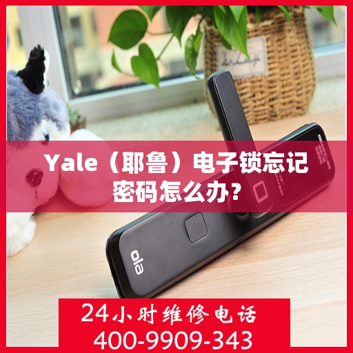 Yale（耶鲁）电子锁忘记密码怎么办？