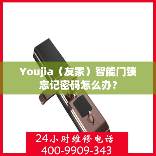 Youjia（友家）智能门锁忘记密码怎么办？