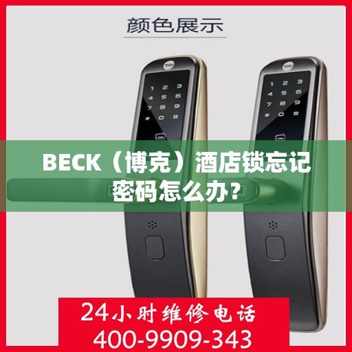 BECK（博克）酒店锁忘记密码怎么办？