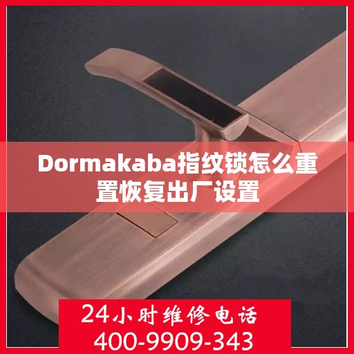 Dormakaba指纹锁怎么重置恢复出厂设置