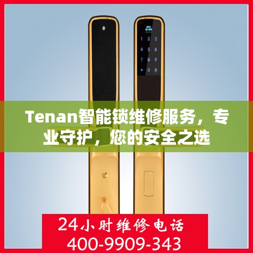 Tenan智能锁维修服务，专业守护，您的安全之选