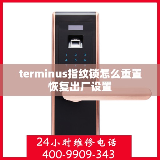 terminus指纹锁怎么重置恢复出厂设置