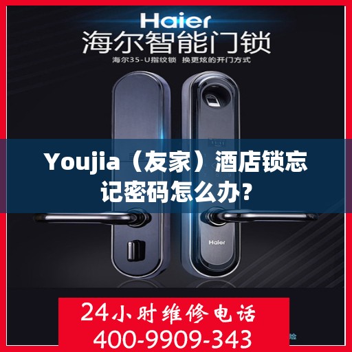 Youjia（友家）酒店锁忘记密码怎么办？