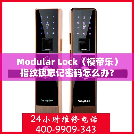 Modular Lock（模帝乐）指纹锁忘记密码怎么办？