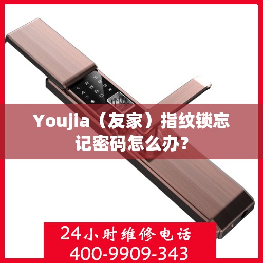 Youjia（友家）指纹锁忘记密码怎么办？