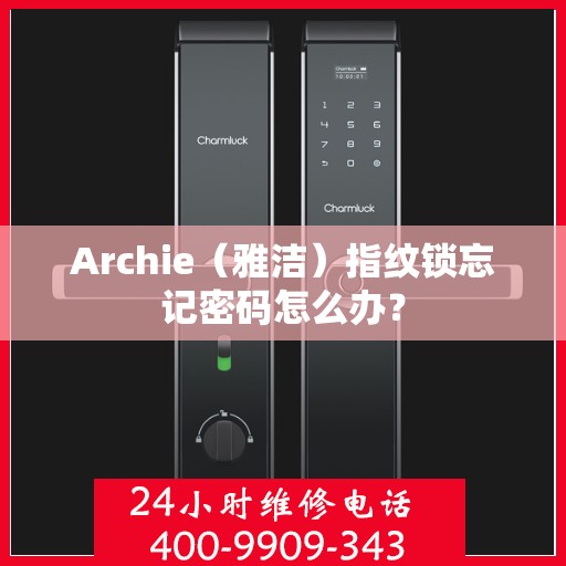 Archie（雅洁）指纹锁忘记密码怎么办？