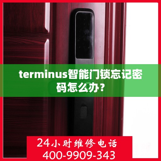 terminus智能门锁忘记密码怎么办？