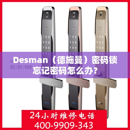 Desman（德施曼）密码锁忘记密码怎么办？