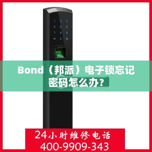 Bond（邦派）电子锁忘记密码怎么办？