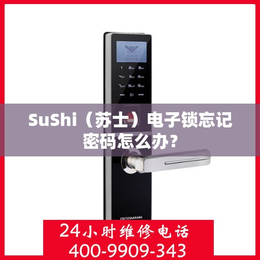 SuShi（苏士）电子锁忘记密码怎么办？