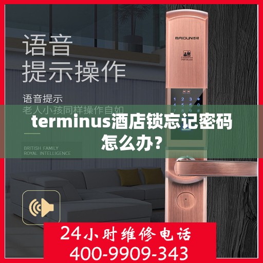 terminus酒店锁忘记密码怎么办？