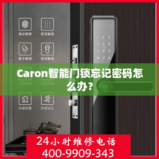 Caron智能门锁忘记密码怎么办？