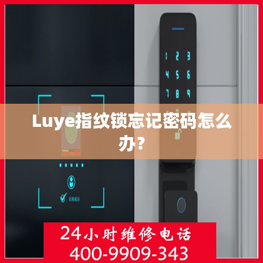 Luye指纹锁忘记密码怎么办？