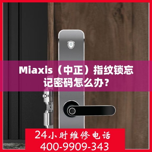 Miaxis（中正）指纹锁忘记密码怎么办？