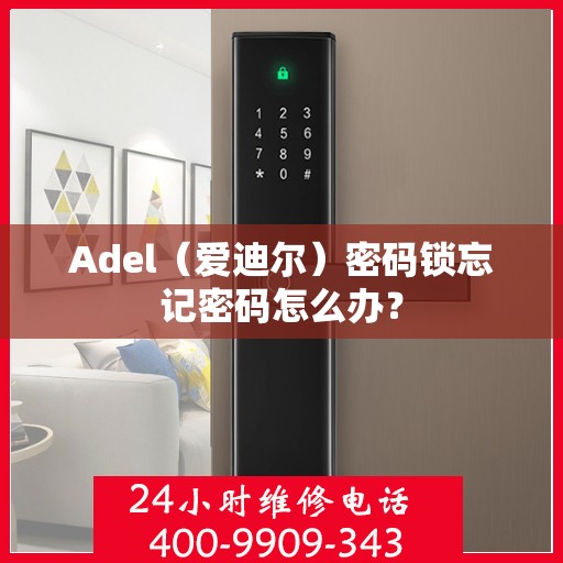 Adel（爱迪尔）密码锁忘记密码怎么办？