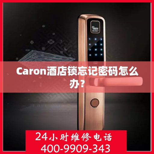 Caron酒店锁忘记密码怎么办？