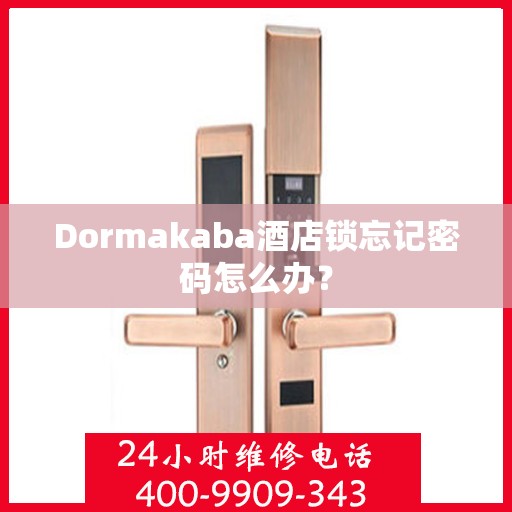 Dormakaba酒店锁忘记密码怎么办？