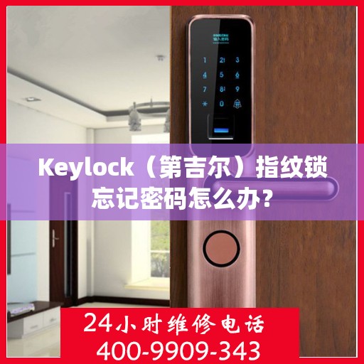 Keylock（第吉尔）指纹锁忘记密码怎么办？