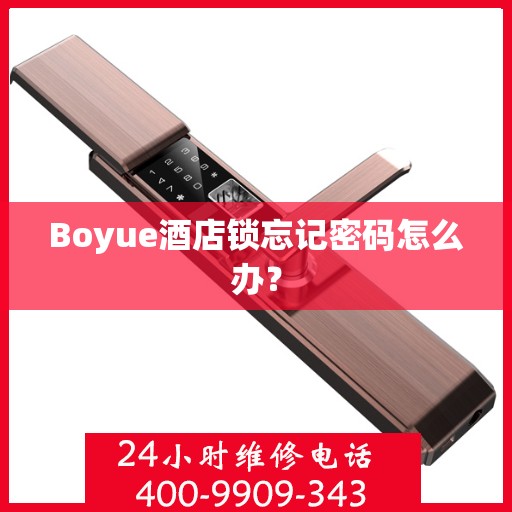 Boyue酒店锁忘记密码怎么办？