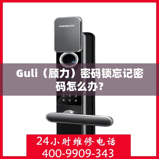 Guli（顾力）密码锁忘记密码怎么办？