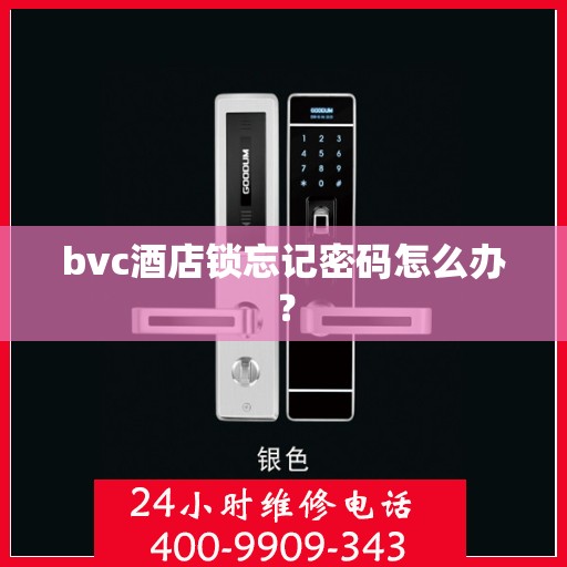 bvc酒店锁忘记密码怎么办？