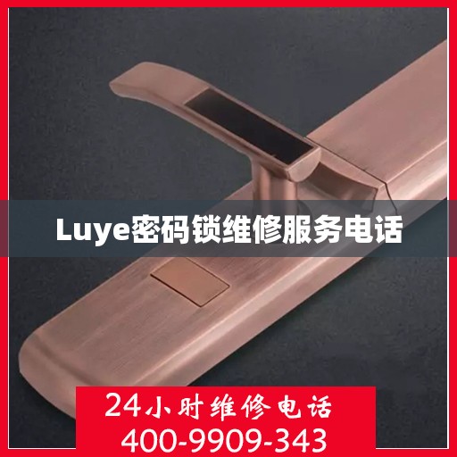 Luye密码锁维修服务电话