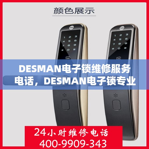 DESMAN电子锁维修服务电话，DESMAN电子锁专业维修服务热线及电话查询指南