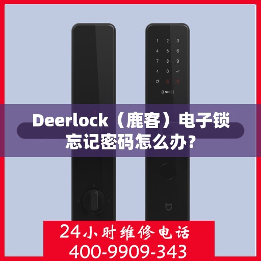 Deerlock（鹿客）电子锁忘记密码怎么办？