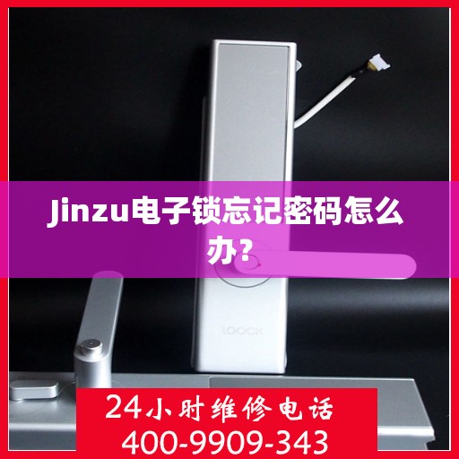 Jinzu电子锁忘记密码怎么办？