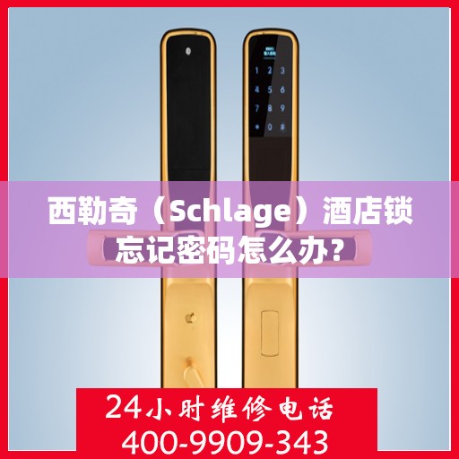 西勒奇（Schlage）酒店锁忘记密码怎么办？