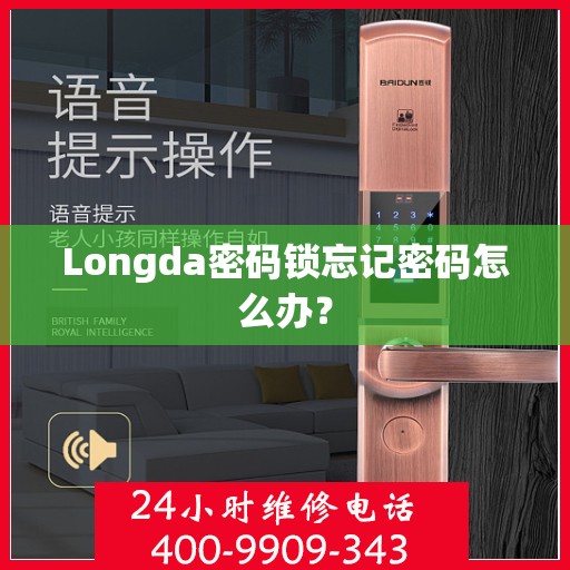 Longda密码锁忘记密码怎么办？