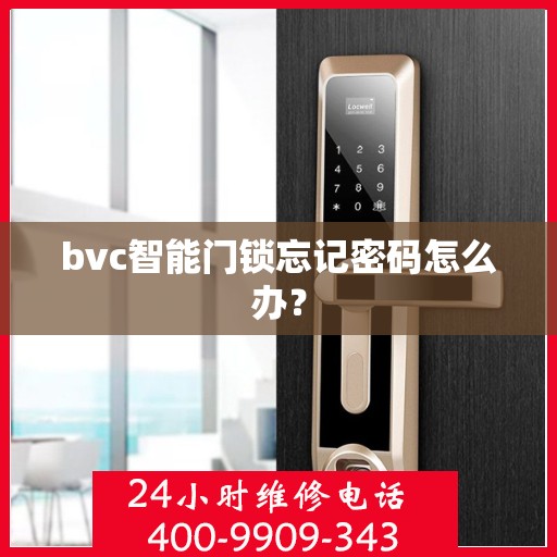 bvc智能门锁忘记密码怎么办？