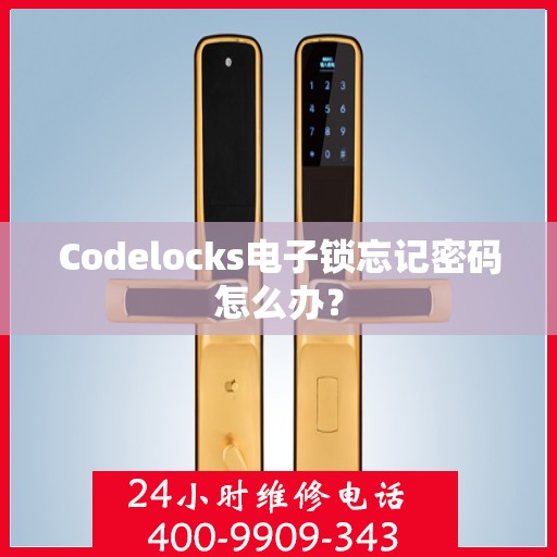 Codelocks电子锁忘记密码怎么办？