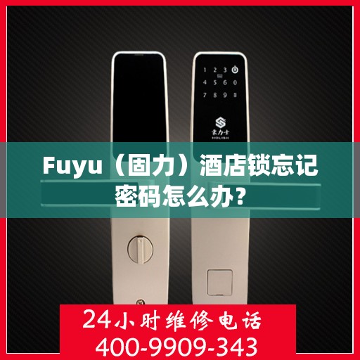 Fuyu（固力）酒店锁忘记密码怎么办？