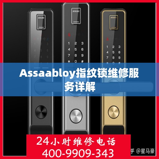 Assaabloy指纹锁维修服务详解