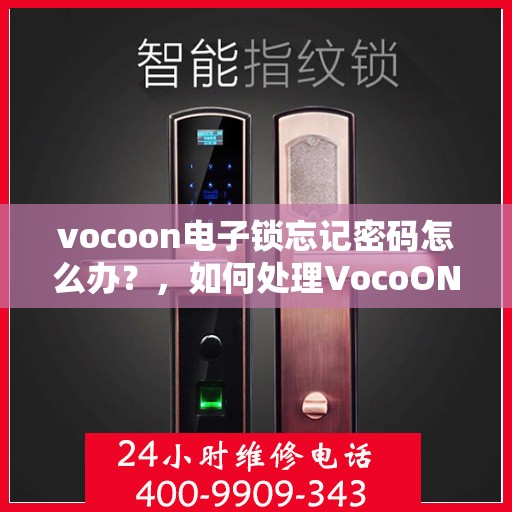 vocoon电子锁忘记密码怎么办？，如何处理VocoON电子锁忘记密码的问题？